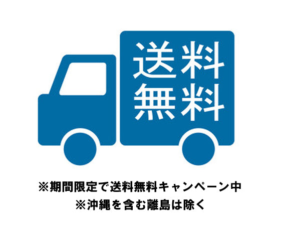 SEV ルーパー ブレスレット サイズ17cm ※セール品
