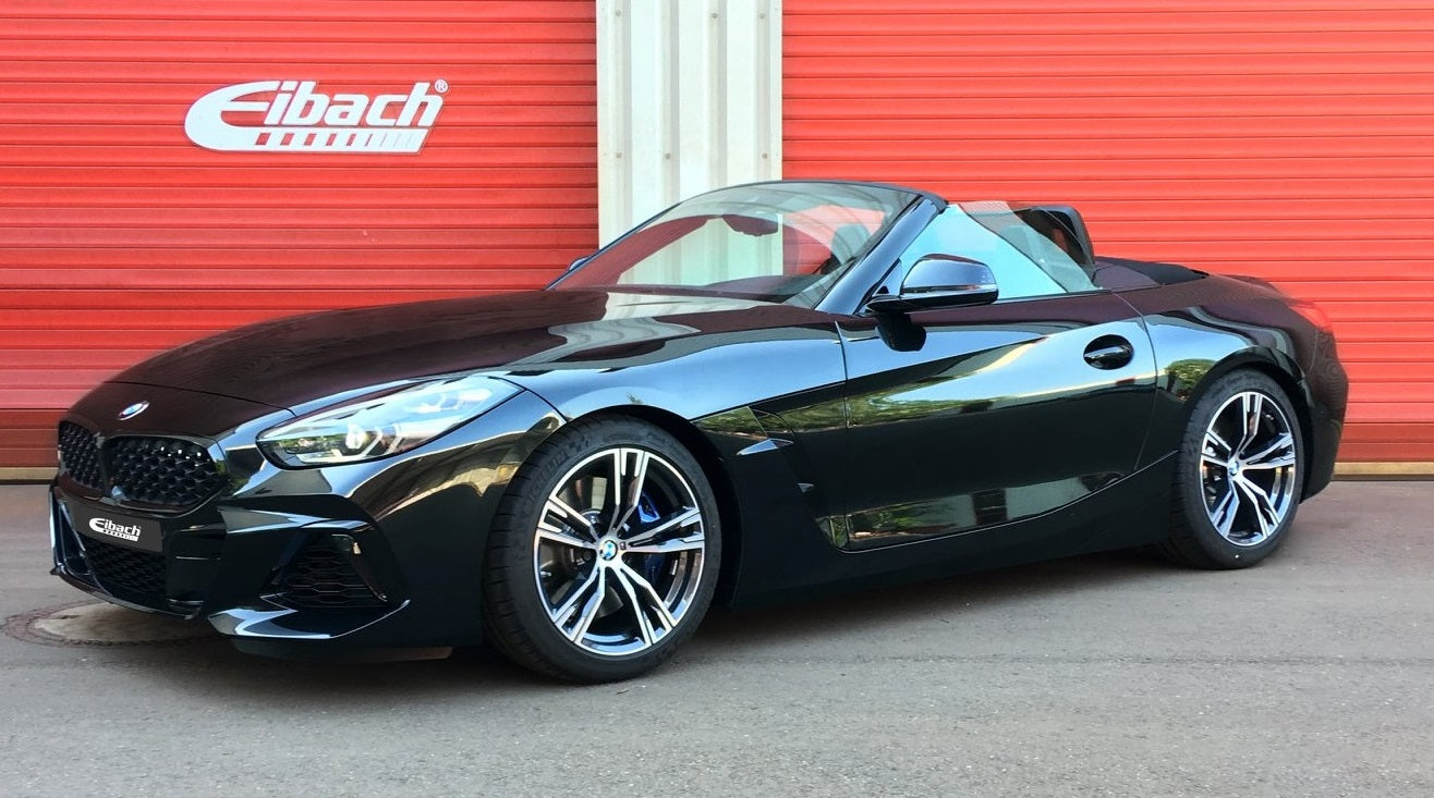 Eibach （アイバッハ）PRO-KIT ローダウンスプリング G29 Z4 sDrive