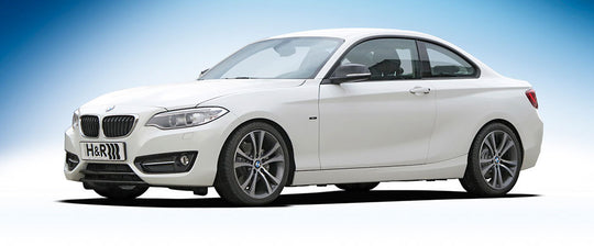 H&R ローダウンスプリング F22 4気筒 2WD