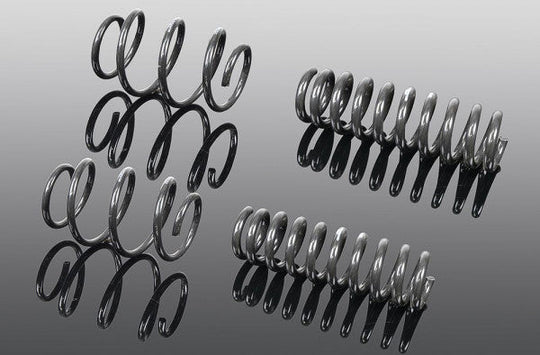 AC SCHNITZER スプリングキット F87 M2